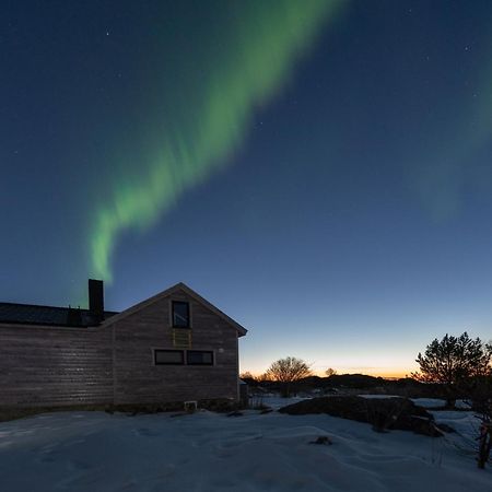 Koselig Bolig I Lofoten / Vesteralen Stronstad i Vesteralen Ngoại thất bức ảnh